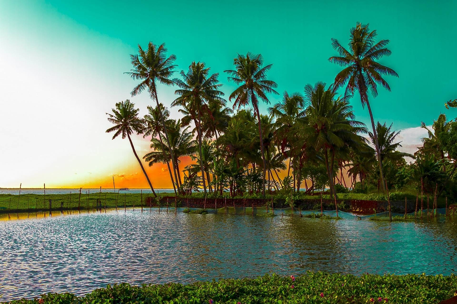 “3 Days, 2 Nights in Kerala: A Serene Escape with 3–4 Star Stay”