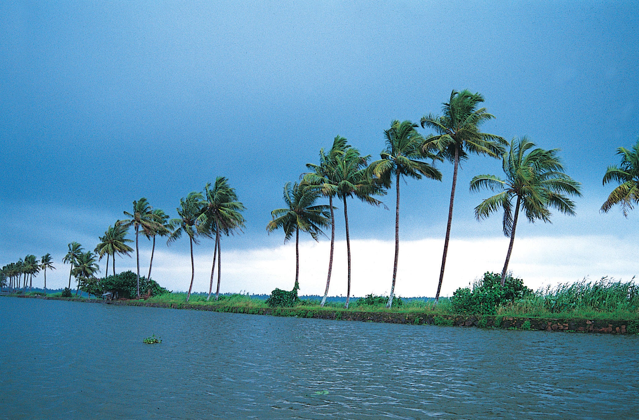 “3 Days, 2 Nights in Kerala: A Serene Escape with 3–4 Star Stay”