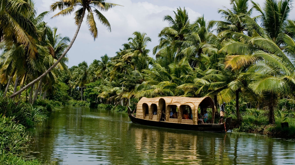 “3 Days, 2 Nights in Kerala: A Serene Escape with 3–4 Star Stay”